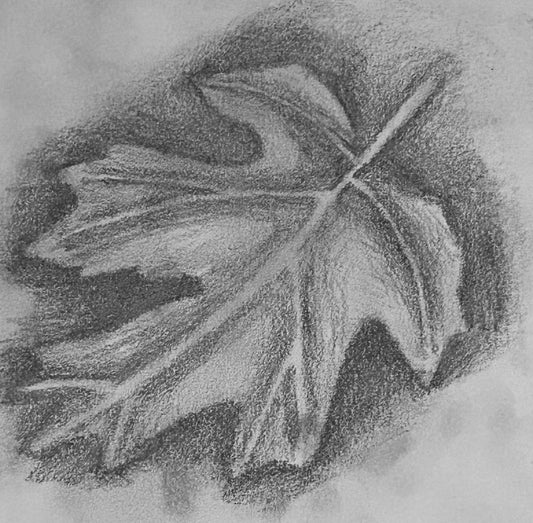 Homeschool Art Essentials: Ages 9-12 | Wednesdays 10:30 - 11:45 AM Sanctuary Arts & Crafts