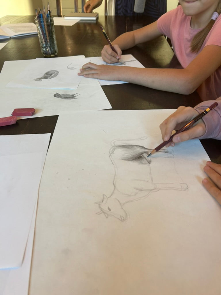 Enrichment Art Essentials: Ages 9-12 | Tuesday 4:15 - 5:30 PM Sanctuary