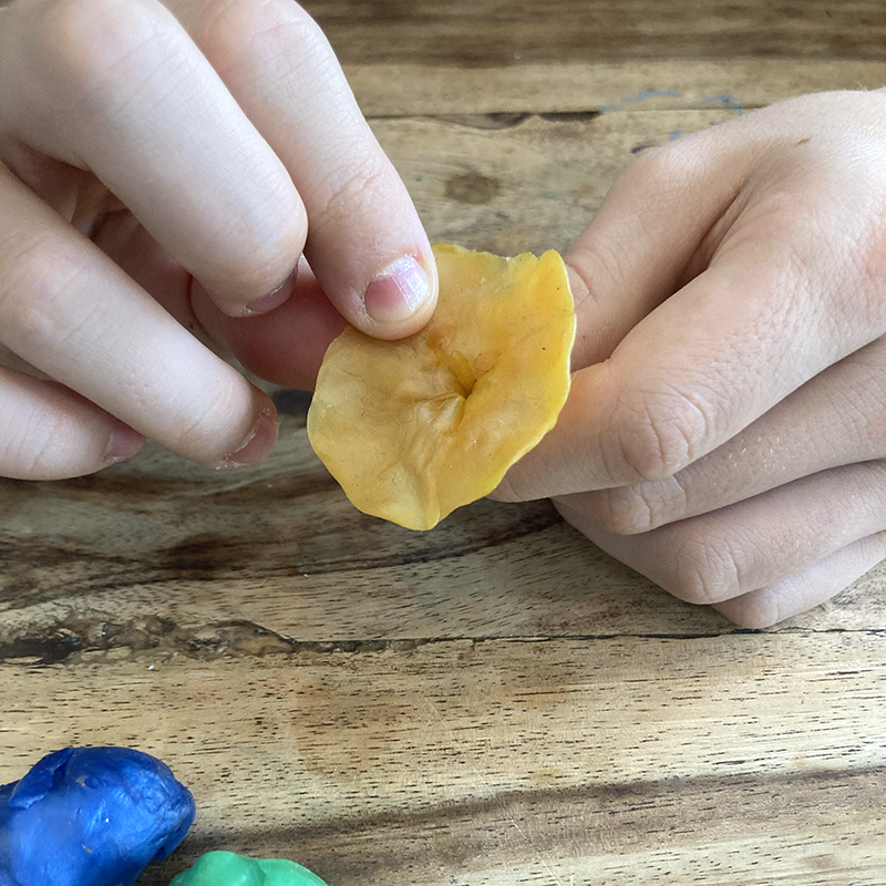 Enrichment Art Essentials: Ages 5–8 | Thursdays 4:15–5:30 PM Sanctuary Arts & Crafts